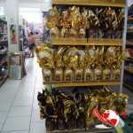 SONY DSC