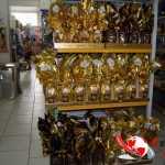 SONY DSC