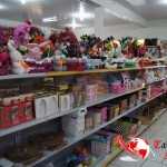 SONY DSC