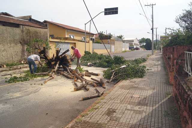 FUNCIONÁRIOS DA PREFEITURA REALIZAM CORTE DE ARVORE EM CONDIÇÕES DE RISCO NA RUA PARANA