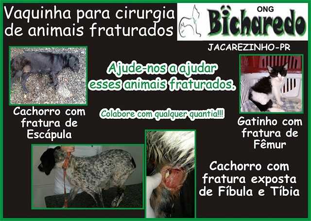 12272581_775036722624268_2075292130_n