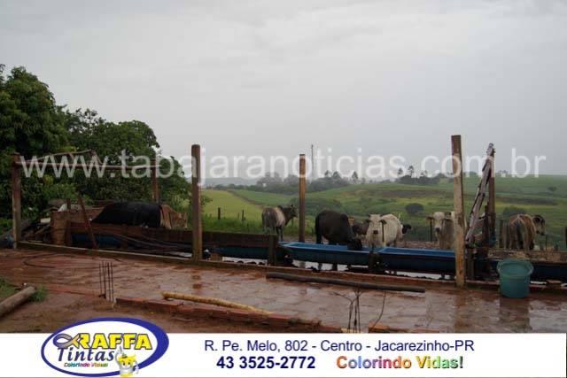 DSC01970