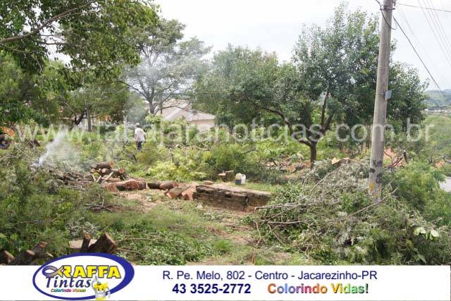 CORTE E PODA DE ARVORES CAUSA CONFUSÃO E DESCONTENTAMENTO NO CAMPO DO JARDIM ALVES
