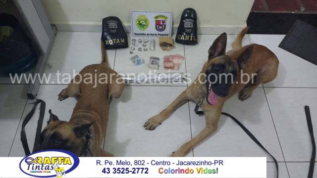 ROTAM E CANIL ENCONTRAM DROGAS EM CASINHA DE CACHORRO E PRENDEM ACUSADO DE TRÁFICO EM CAMBARÁ