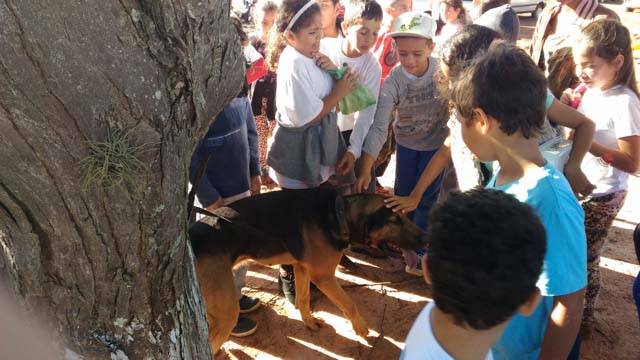 APRESENTAÇÃO CANIL (10)