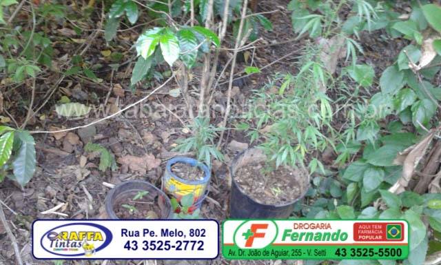 whatsapp-image-2016-09-15-at-19-10-46