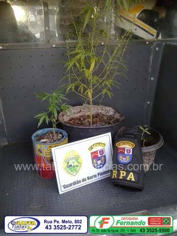 whatsapp-image-2016-09-15-at-20-36-51