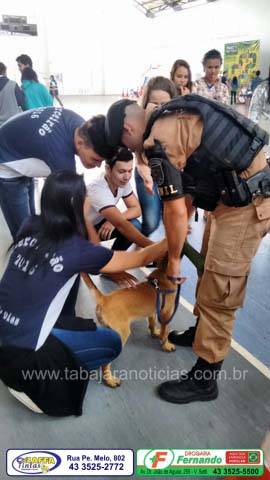 semana-do-transito-4