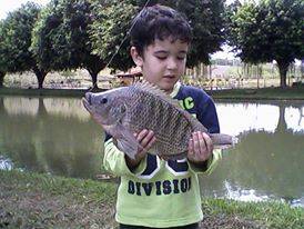 gustava-peixe