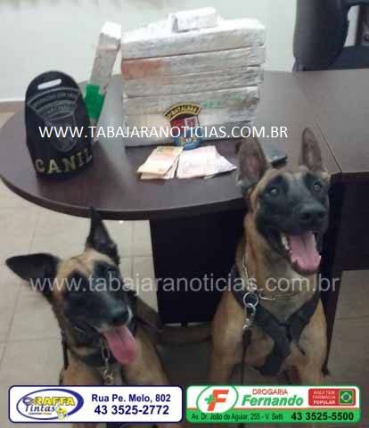 whatsapp-image-2016-12-07-at-16-15-55
