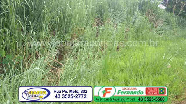 WhatsApp Image 2017-01-14 at 13.15.13