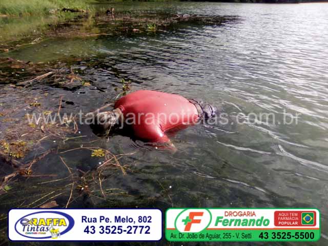 WhatsApp Image 2017-01-21 at 09.42.32 (1)