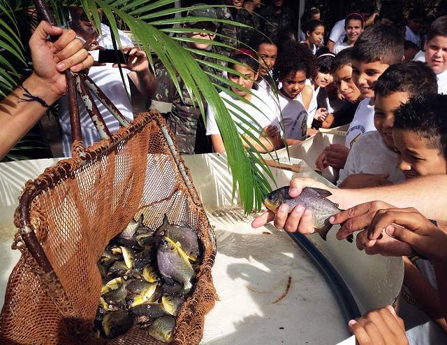 Paranapanema recebe 735 mil peixes