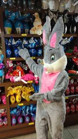 17635545_564464590412294_4904454774677568219_o-min