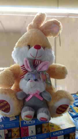 WhatsApp Image 2017-03-30 at 12.03.57 (1)