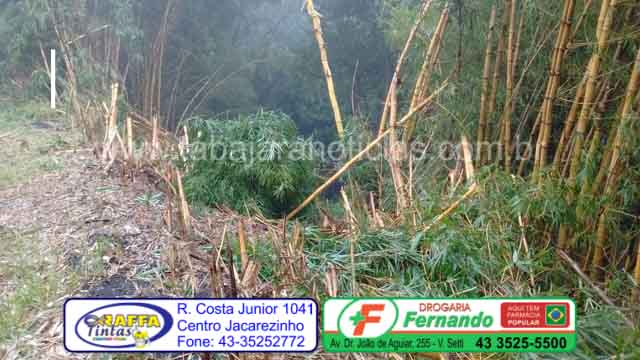 WhatsApp Image 2017-04-26 at 20.52.21 (5)