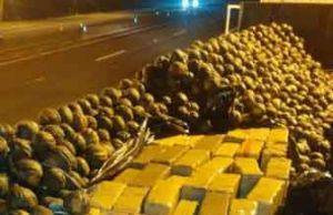 Carreta com quase uma tonelada de maconha é apreendida pela TOR em Ourinhos