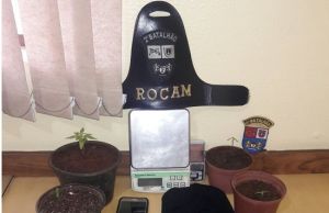 Equipe Motos da Policia Militar prende dois cultivando pés de Maconha em Santo Antonio