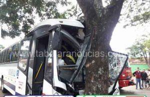 Motorista de ônibus passa mal, bate em árvore e passageiro se fere em Chavantes