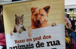 Cidadã Jacarezinhense pede ajuda para fazer bazar e arrecadar fundos para ajudar animais de rua