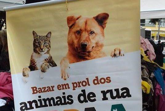 bazar-animais de rua - Tabajara Noticias