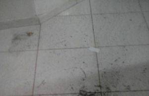 Moradores de Carlópolis reclamam de queimadas em terrenos baldios nos bairros