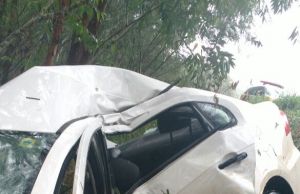 Prefeito de Japira morre em acidente na BR 153