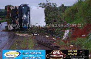 Arvore caída na pista provoca acidente com caminhões na PR 431 em Cambara