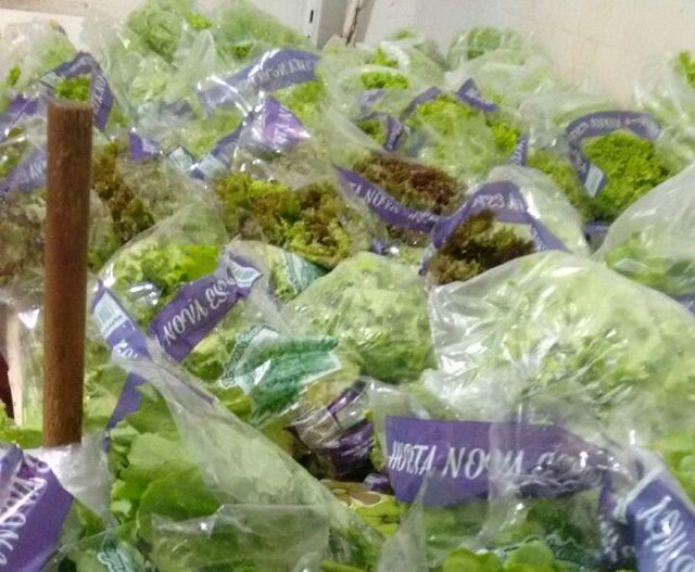 WhatsApp Image 2018-01-13 at 18.07.17