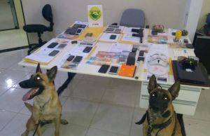: POLÍCIA MILITAR E CIVIL DEFLAGRAM OPERAÇÃO EM COMBATE AO NARCOTRÁFICO NO NORTE PIONEIRO