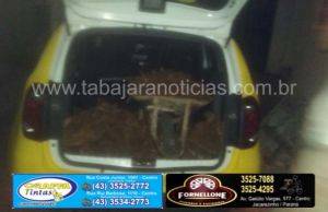 Policia Militar prende individuo furtando trilhos da Estação Ferroviária patrimônio histórico de Jacarezinho