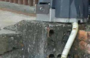 Cobra aparece em quintal e assusta moradores da residencia no Anita Moreira em Jacarezinho