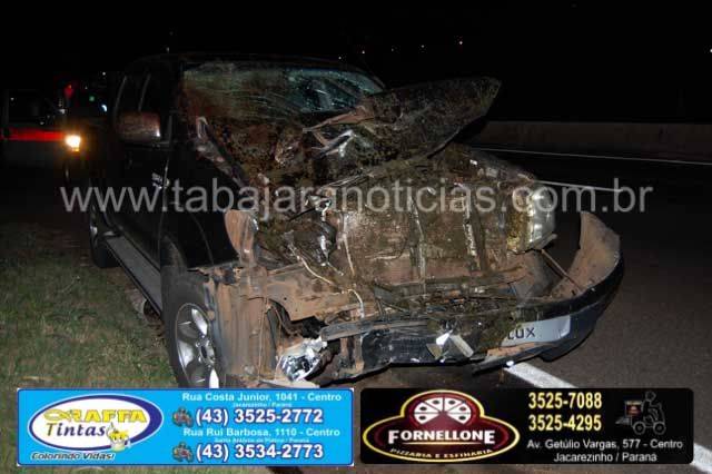 Animal na pista causa acidente na BR 153 - Tabajara Noticias