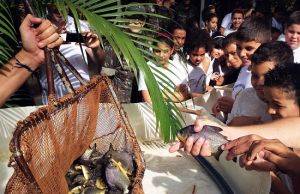 CTG BRASIL SOLTA 285 MIL PEIXES NO RIO PARANAPANEMA