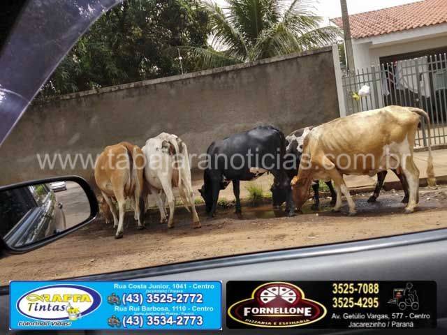 WhatsApp Image 2018-11-30 at 13.10.10