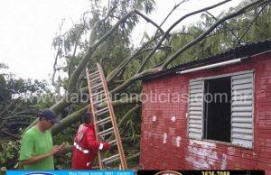 Forte chuva com rajadas de ventos assustam população e causam prejuízos em Jacarezinho