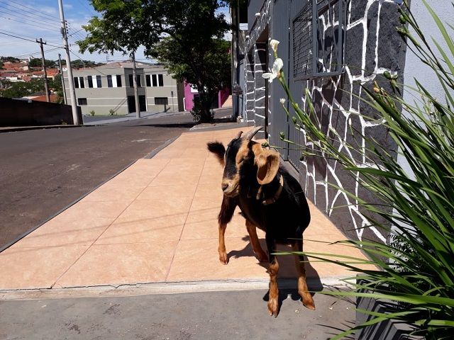 WhatsApp Image 2018-12-16 at 12.21.47