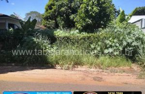 Terrenos baldios com mato alto tomando toda a calçadas em bairros de Jacarezinho colocam população em risco de doenças