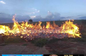 Incêndio destrói grande quantidade de madeiras próximo ao Aeroporto