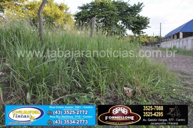 WhatsApp Image 2019-02-06 at 14.53.15 (2)