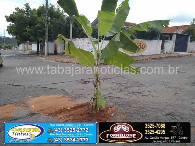 WhatsApp Image 2019-03-13 at 11.59.38 (1)