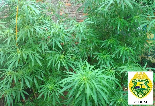 WhatsApp Image 2019-03-14 at 09.50.59