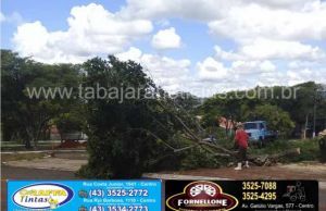 Arvores da praça do cemitério são cortadas todas de uma vez pela prefeitura e deixa população indignada, qual será a razão ?