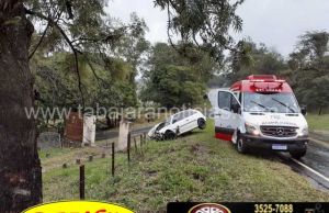 Após derrapar carro sai da pista e bate em arvore na PR 431, motorista saiu ileso.