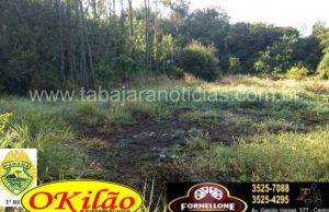 Policia Militar descobre e acaba com plantação de Maconha em Cambara.