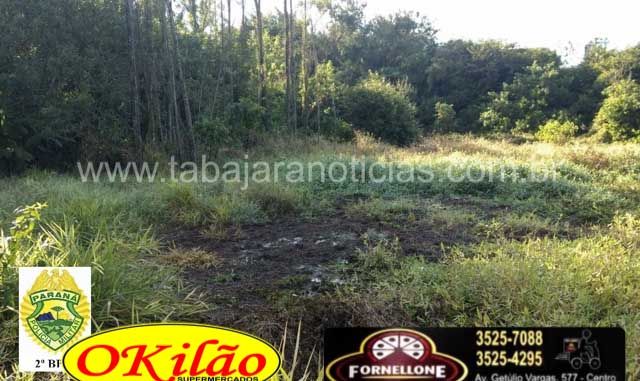 WhatsApp Image 2019-07-18 at 11.50.15