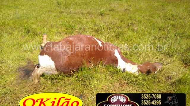 WhatsApp Image 2019-10-26 at 17.13.51