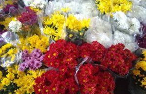 Sacolão Hawaii comunica que já recebeu grande quantidade de flores para o finados.