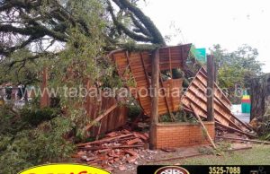 Chuva derruba arvore em cima de chalé que fica destruído na praça central de Jacarezinho.