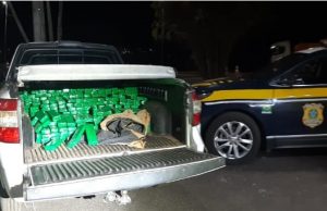 PRF faz grande apreensão de maconha na divisa entre Jacarezinho e Ourinhos.